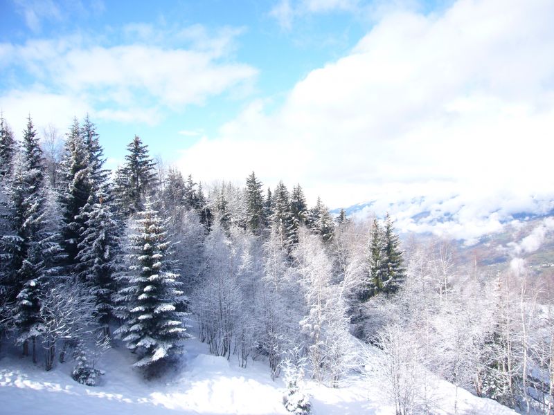 foto 11 Mietobjekt von Privatpersonen Les Arcs studio Rhne-Alpes Savoyen