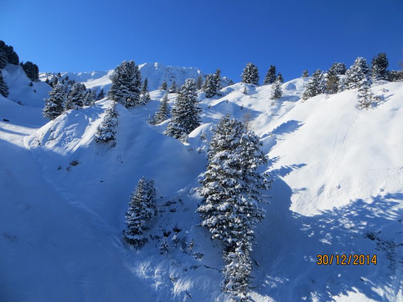 foto 28 Mietobjekt von Privatpersonen La Plagne chalet Rhne-Alpes Savoyen Nahaufnahme