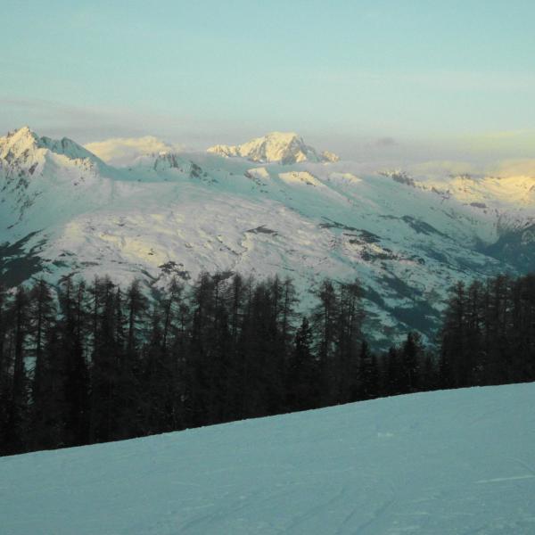 foto 19 Mietobjekt von Privatpersonen La Plagne chalet Rhne-Alpes Savoyen Nahaufnahme