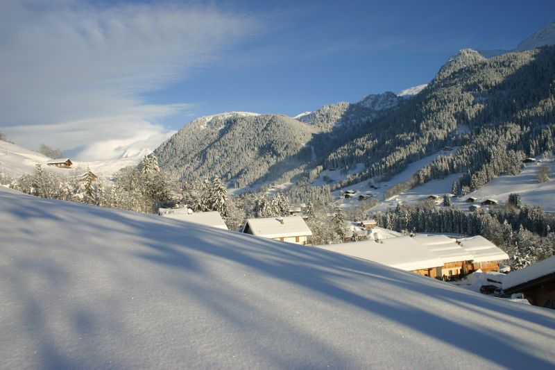 foto 15 Mietobjekt von Privatpersonen Les Saisies appartement Rhne-Alpes Savoyen