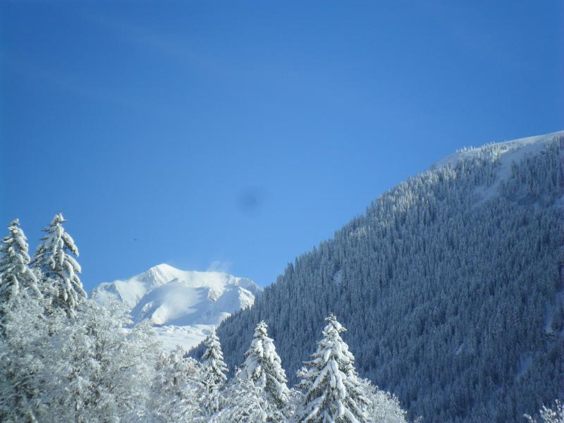 foto 17 Mietobjekt von Privatpersonen Les Saisies appartement Rhne-Alpes Savoyen Nahaufnahme