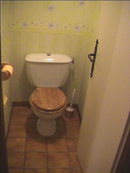 foto 9 Mietobjekt von Privatpersonen Samons appartement Rhne-Alpes Haute-Savoie separates WC