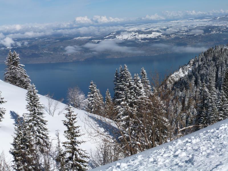 foto 7 Mietobjekt von Privatpersonen Thollon Les Mmises appartement Rhne-Alpes Haute-Savoie Nahaufnahme