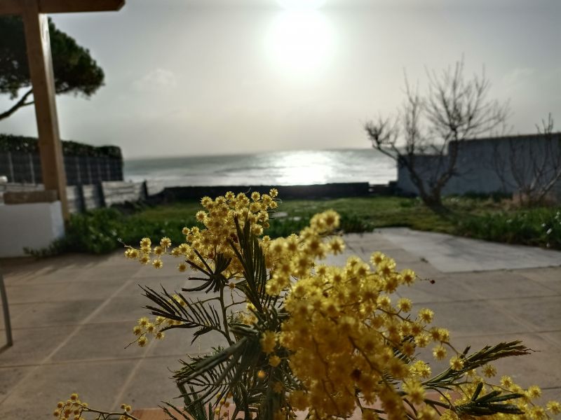 foto 19 Mietobjekt von Privatpersonen La Gurinire maison Pays de la Loire Vende Ausblick von der Terrasse