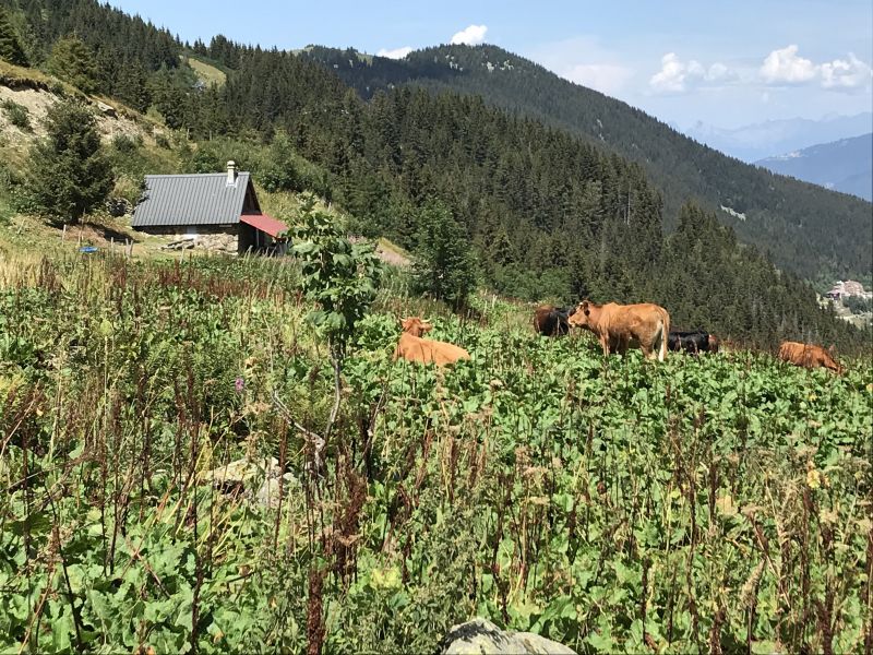 foto 15 Mietobjekt von Privatpersonen Les Sept Laux appartement Rhne-Alpes Isre andere