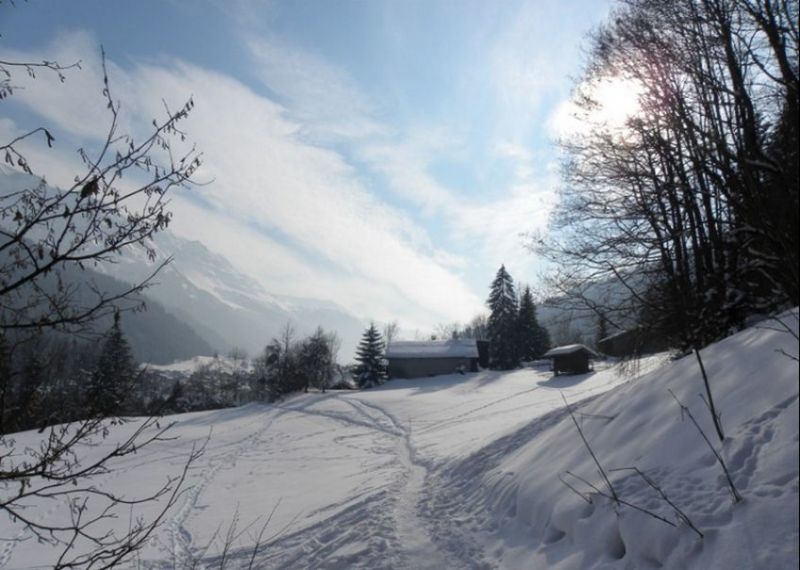 foto 23 Mietobjekt von Privatpersonen Les Contamines Montjoie chalet Rhne-Alpes Haute-Savoie Nahaufnahme