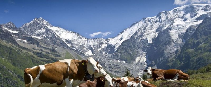 foto 18 Mietobjekt von Privatpersonen Les Contamines Montjoie chalet Rhne-Alpes Haute-Savoie Nahaufnahme