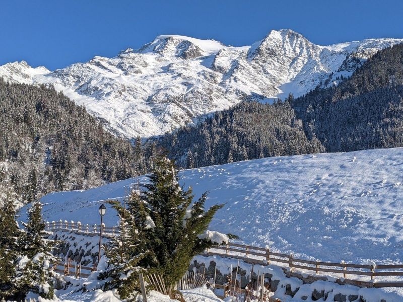 foto 24 Mietobjekt von Privatpersonen Les Contamines Montjoie chalet Rhne-Alpes Haute-Savoie Nahaufnahme