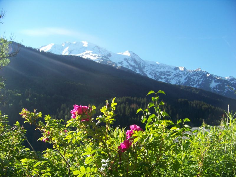 foto 17 Mietobjekt von Privatpersonen Les Contamines Montjoie chalet Rhne-Alpes Haute-Savoie Ausblick aus der Ferienunterkunft