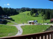 Ferienunterkünfte an der skipiste Mont-Blanc Massiv: appartement Nr. 28743