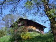 Ferienunterknfte Mont-Blanc Massiv: appartement Nr. 28936