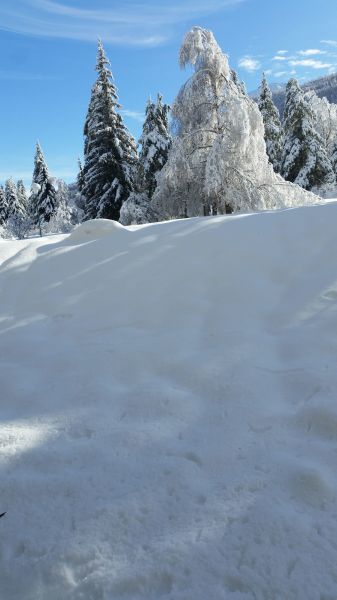 foto 5 Mietobjekt von Privatpersonen Serre Chevalier studio Provence-Alpes-Cte d'Azur Hautes-Alpes Garten