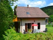 Ferienunterknfte ferienwohnungen La Bresse: appartement Nr. 29652