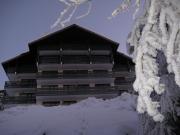 Ferienunterknfte La Chapelle D'Abondance: appartement Nr. 3076