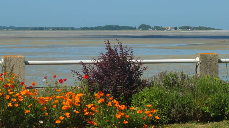 foto 7 Mietobjekt von Privatpersonen Le Crotoy appartement Picardie Somme Ausblick von der Terrasse