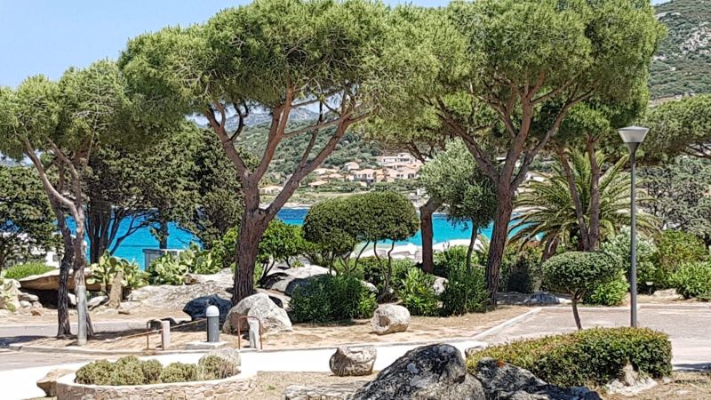 foto 13 Mietobjekt von Privatpersonen Calvi maison Korsika Haute-Corse Strand