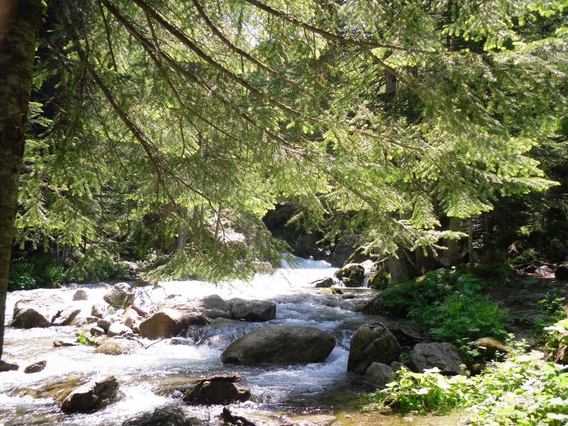 foto 24 Mietobjekt von Privatpersonen La Foux d'Allos studio Provence-Alpes-Cte d'Azur Alpes de Haute-Provence Nahaufnahme