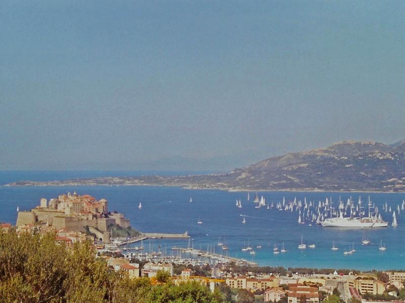 foto 2 Mietobjekt von Privatpersonen Calvi appartement Korsika Haute-Corse Ausblick aus der Ferienunterkunft