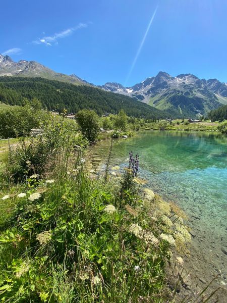 foto 25 Mietobjekt von Privatpersonen Sulden (Solda) maison Trentino-Sdtirol Bozen