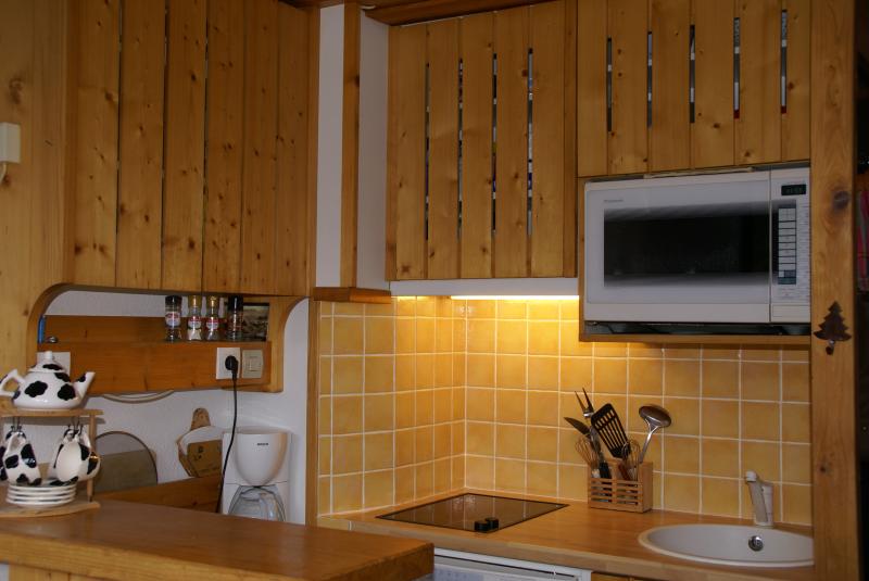 foto 3 Mietobjekt von Privatpersonen Les Arcs appartement Rhne-Alpes Savoyen offene Kche