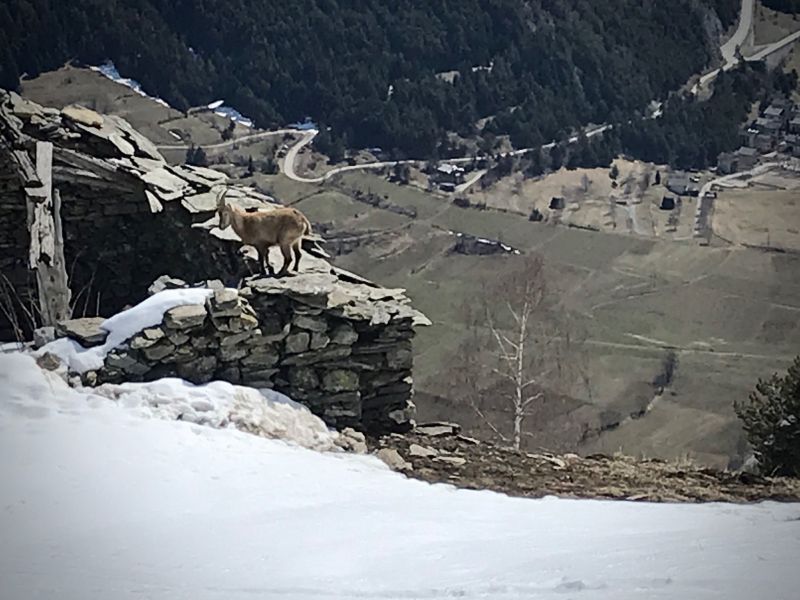 foto 21 Mietobjekt von Privatpersonen Termignon la Vanoise appartement Rhne-Alpes Savoyen