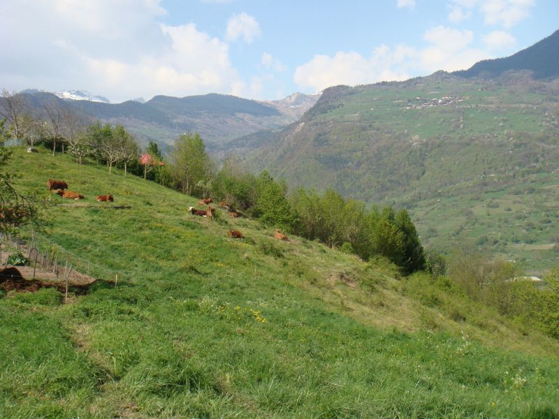 foto 22 Mietobjekt von Privatpersonen Valmorel gite Rhne-Alpes Savoyen andere