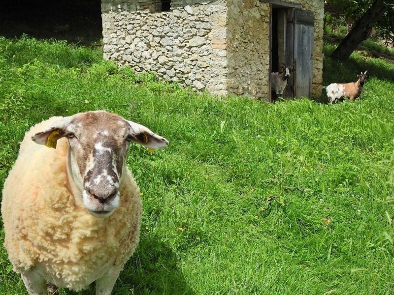 foto 18 Mietobjekt von Privatpersonen Bergerac gite Aquitanien Dordogne Ausblick aus der Ferienunterkunft