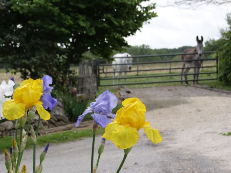 foto 15 Mietobjekt von Privatpersonen Bergerac gite Aquitanien Dordogne Ausblick aus der Ferienunterkunft