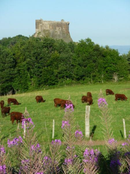 foto 9 Mietobjekt von Privatpersonen Besse et Saint Anastaise chalet Auvergne Puy-de-Dme andere