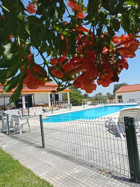 foto 18 Mietobjekt von Privatpersonen Nisa villa Alentejo  Schwimmbad