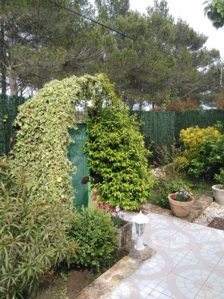 foto 12 Mietobjekt von Privatpersonen Le Castellet bungalow Provence-Alpes-Cte d'Azur Var Garten