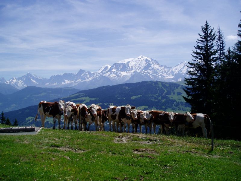 foto 18 Mietobjekt von Privatpersonen Combloux appartement Rhne-Alpes Haute-Savoie