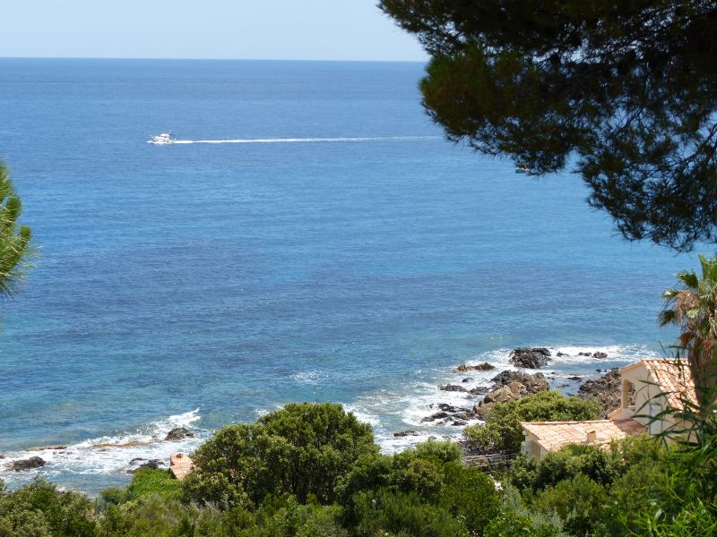 foto 3 Mietobjekt von Privatpersonen Ste Lucie de Porto Vecchio maison Korsika Corse du Sud Ausblick vom Balkon