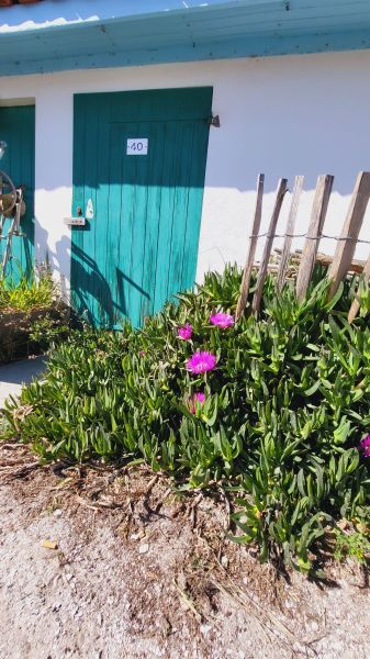 foto 21 Mietobjekt von Privatpersonen Andernos les Bains maison Aquitanien Gironde Nahaufnahme