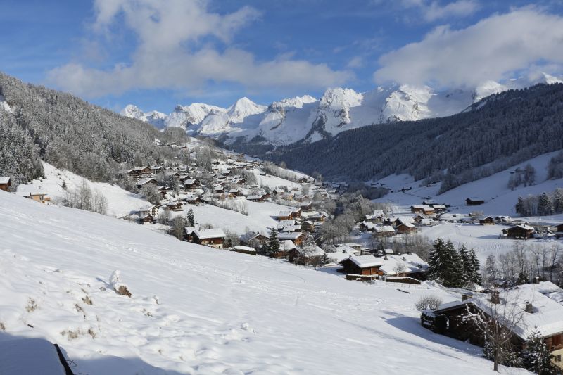 foto 9 Mietobjekt von Privatpersonen Le Grand Bornand studio Rhne-Alpes Haute-Savoie Nahaufnahme