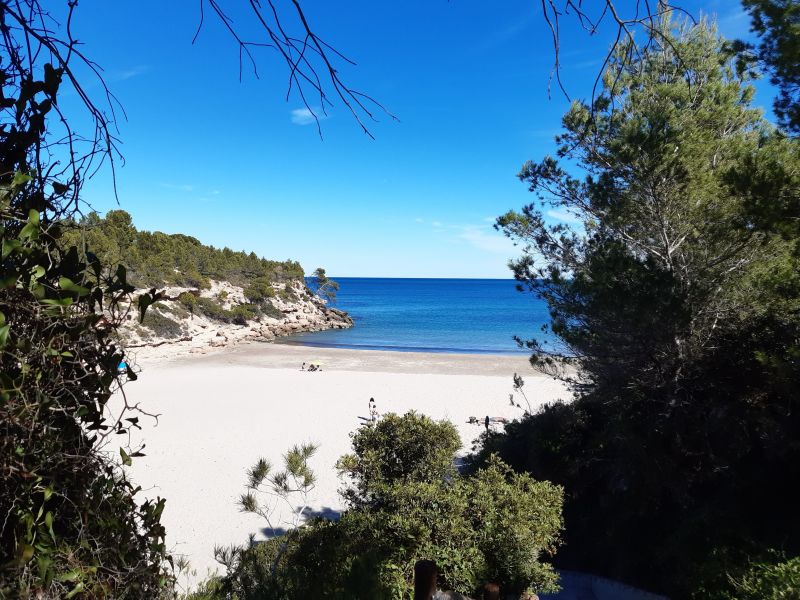 foto 22 Mietobjekt von Privatpersonen L'Ametlla de Mar villa Katalonien Provinz Tarragona Strand
