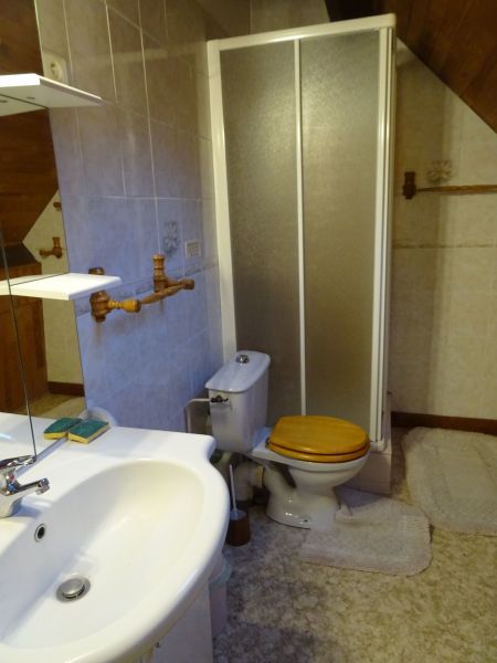 foto 6 Mietobjekt von Privatpersonen Saint Lary Soulan appartement Pyrenen Pyrenen Badezimmer