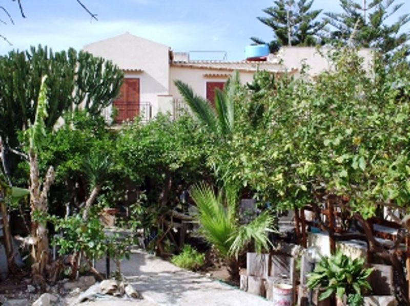 foto 8 Mietobjekt von Privatpersonen San Vito lo Capo maison Sizilien Trapani (+Umland) Garten