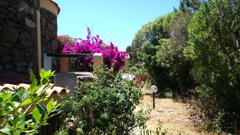 foto 11 Mietobjekt von Privatpersonen Golfo Aranci villa Sardinien Olbia Tempio (+ Umland) Garten