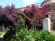 Ferienunterknfte Sardinien: villa Nr. 45862