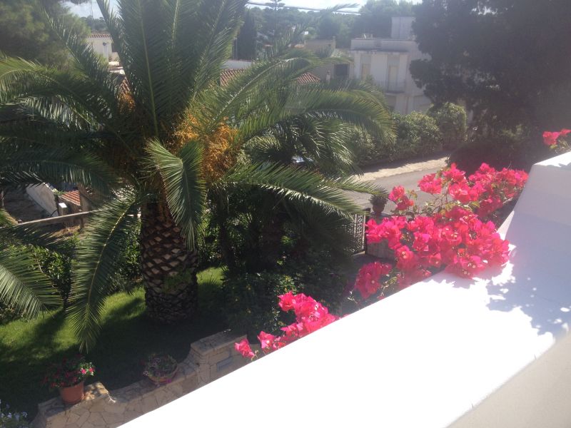 foto 26 Mietobjekt von Privatpersonen Gallipoli appartement Apulien Lecce (+Umland) Ausblick vom Balkon