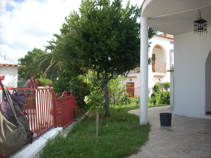 foto 3 Mietobjekt von Privatpersonen Peschici villa Apulien Foggia (+Umland) Garten