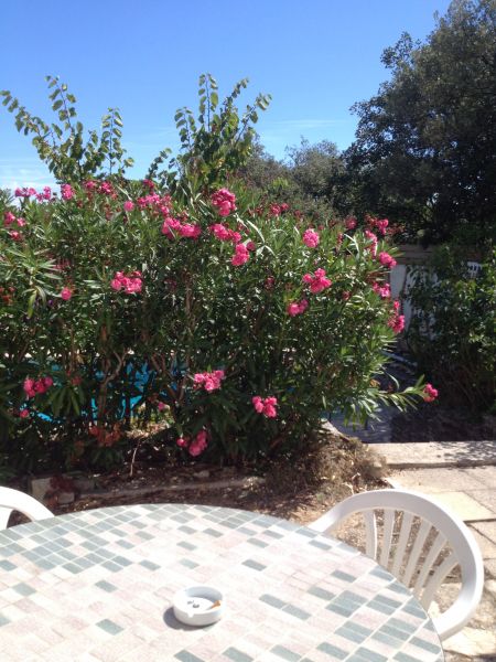 foto 3 Mietobjekt von Privatpersonen Cassis maison Provence-Alpes-Cte d'Azur Bouches du Rhne Ausblick von der Terrasse