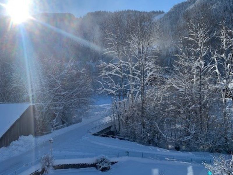 foto 0 Mietobjekt von Privatpersonen Bernex appartement Rhne-Alpes Haute-Savoie Ausblick aus der Ferienunterkunft