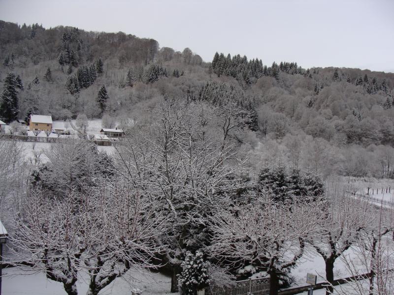 foto 17 Mietobjekt von Privatpersonen Le Mont Dore appartement Auvergne Puy-de-Dme Ausblick aus der Ferienunterkunft