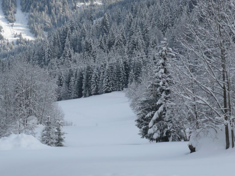 foto 16 Mietobjekt von Privatpersonen Chtel appartement Rhne-Alpes Haute-Savoie