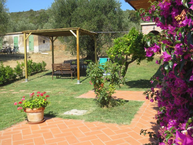 foto 7 Mietobjekt von Privatpersonen Castiglione della Pescaia maison Toskana Grosseto (+Umland) Garten