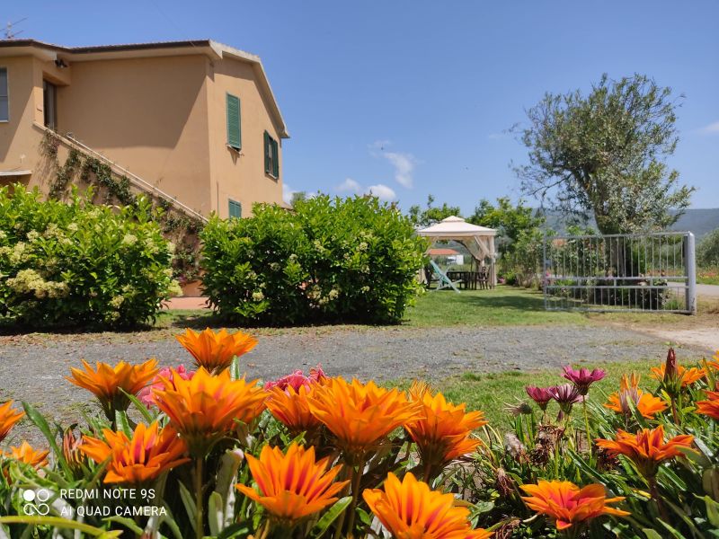 foto 0 Mietobjekt von Privatpersonen Castiglione della Pescaia maison Toskana Grosseto (+Umland)