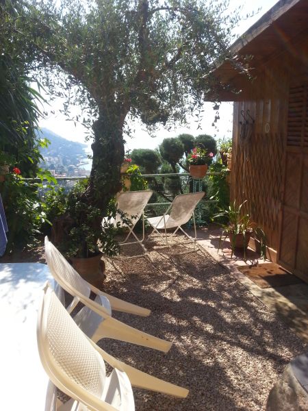 foto 5 Mietobjekt von Privatpersonen Menton gite Provence-Alpes-Cte d'Azur Alpes-Maritimes Hof