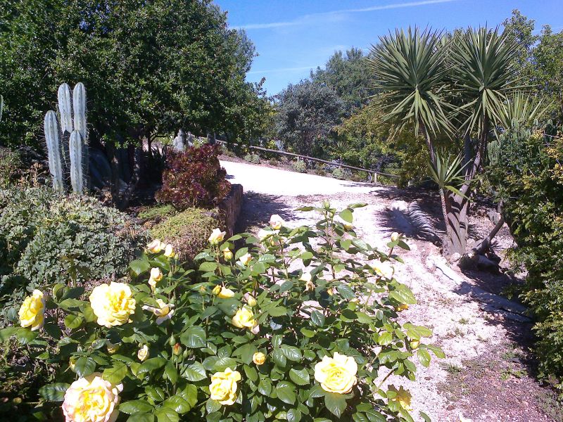 foto 10 Mietobjekt von Privatpersonen Loul maison Algarve  Garten